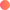 Digital marketing and design solutions in New York