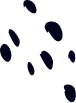 Digital marketing and design solutions in New York
